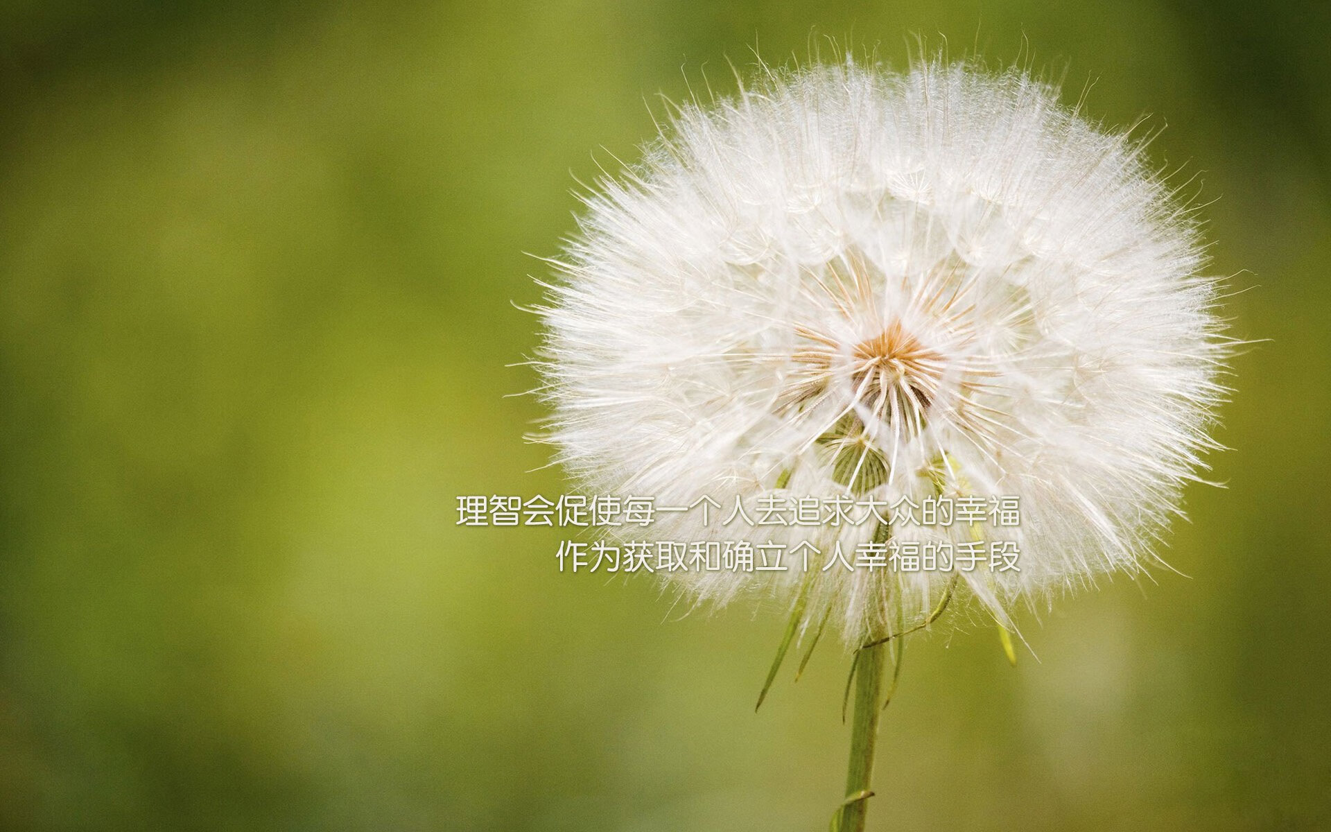 _海上帆船挑战赛：掌舵者的速度与智慧_，海上帆船的世界名画