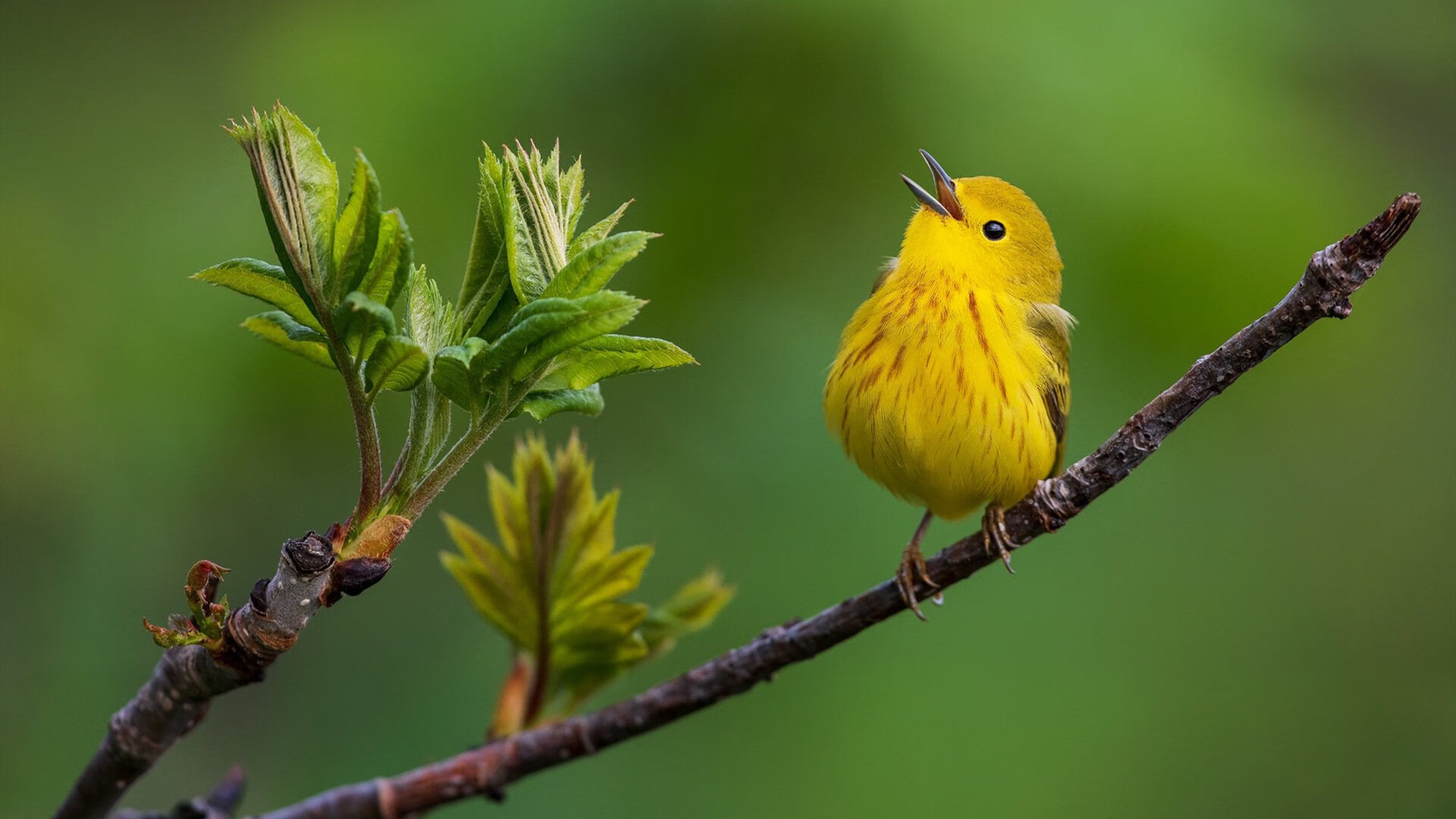 九游娱乐比分网-“中超联赛第一轮精彩瞬间回放”，2021年中超联赛第一轮
