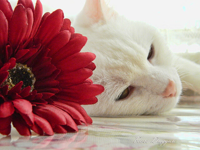 九游娱乐登录-全国青少年“践行绿色”篮球比赛在湖北恩施顺利举办，全国青少年蓝球比赛