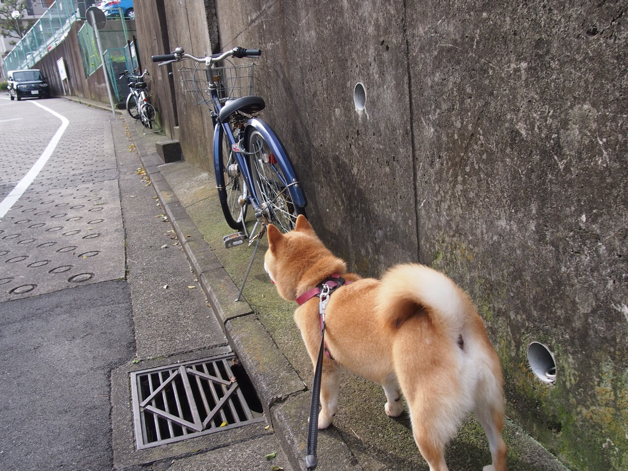 史上最火爆的“关键三分”集锦，哪一记定胜负？，关键时刻得分榜